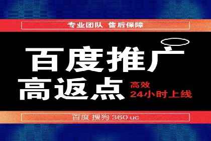 行业领先SEM服务公司案例研究