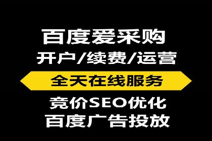 成功SEM推广代运营案例分享