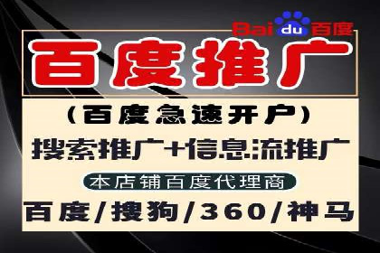 探索SEM托管公司的成功之路：以数据驱动营销